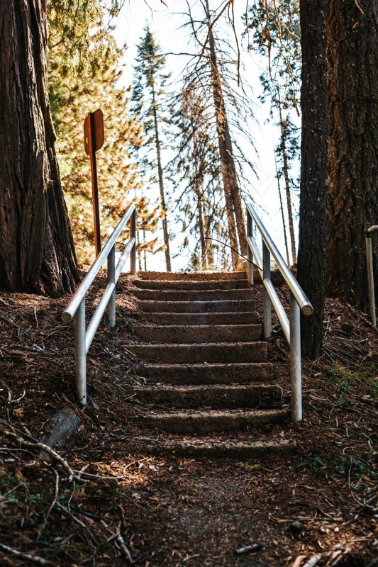 staircase-covered-soil-with-metal-railings-woods